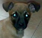 Avatar utente